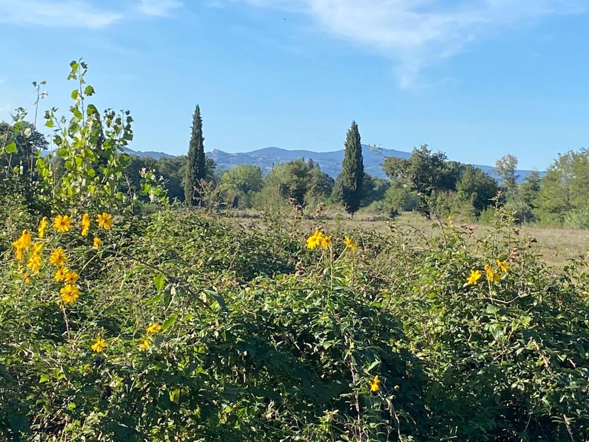 Il Casale Delle Rose Aparthotel Paganico  Εξωτερικό φωτογραφία